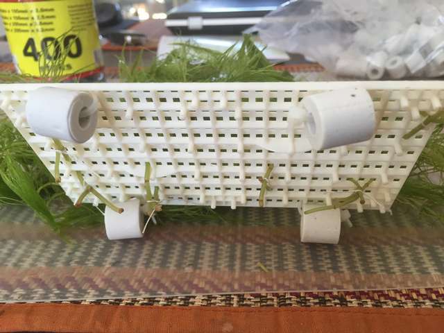 184174aquabart_0_82_img_0198.jpg