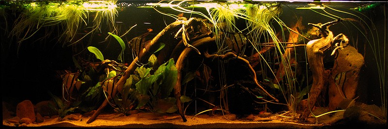 19012014_01.jpg