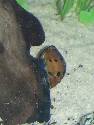 194347_0_82_samsung_311013_242.jpg