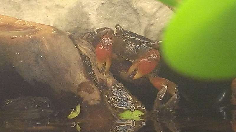 195234mirznddjoards_0_82_wp_20140315_004.jpg