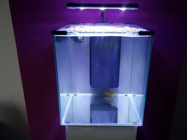 199356blup28_0_82_cam00189.jpg
