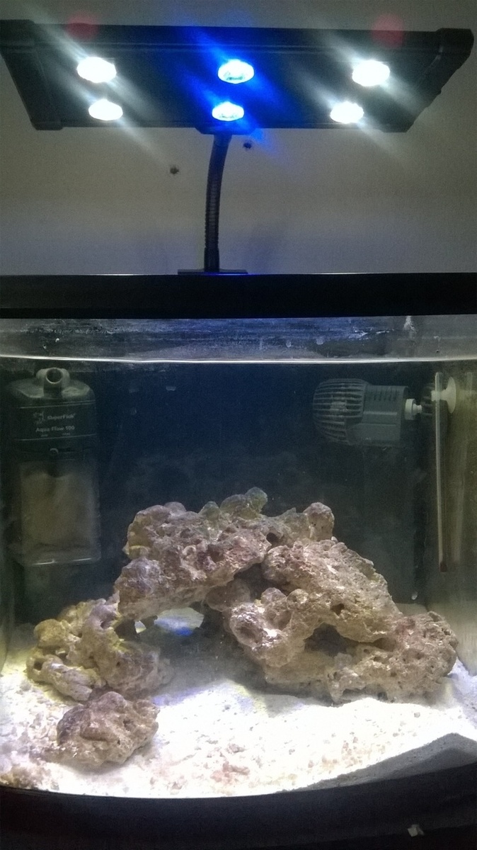 1ifj1l.jpg