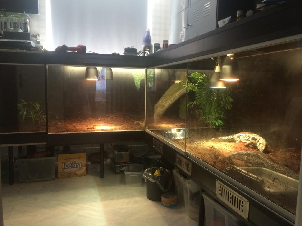 1to7jOr8B78_XIT5-p84pSr6lyYyw670.jpeg 1to7jOr8B78_XIT5-p84pSr6lyYyw670.jpeg