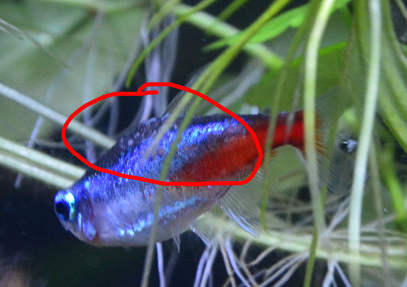 1Yw8y-xTqNzwaNgyhCQxmo70OzLenBg1.jpeg 1Yw8y-xTqNzwaNgyhCQxmo70OzLenBg1.jpeg