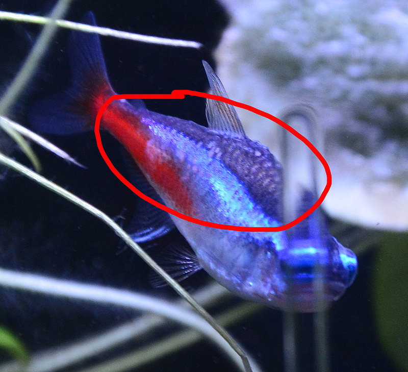 1Yw8y-xTqNzwaNgyhCQxmo70OzLenBg1.jpeg 1Yw8y-xTqNzwaNgyhCQxmo70OzLenBg1.jpeg