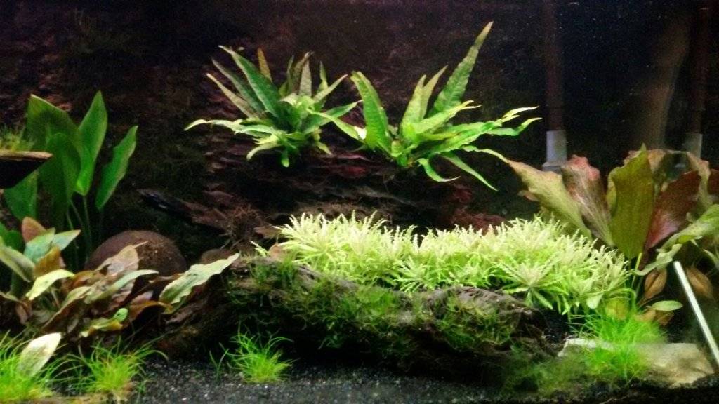 2 aqua 18-11-2016.jpg