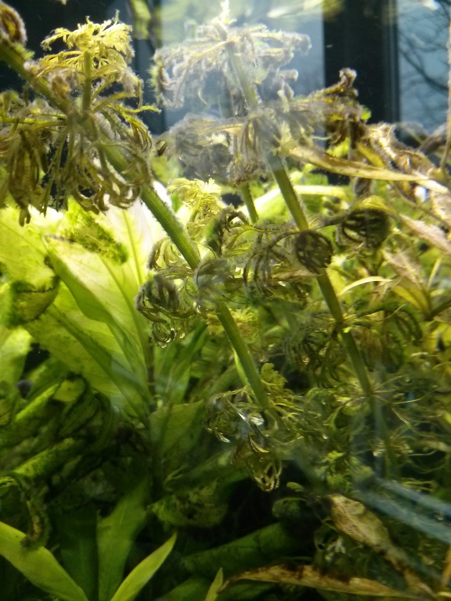 2013-12-21-11.31.52.jpg