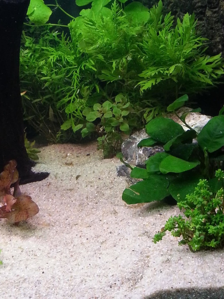 20130909_211552.jpg