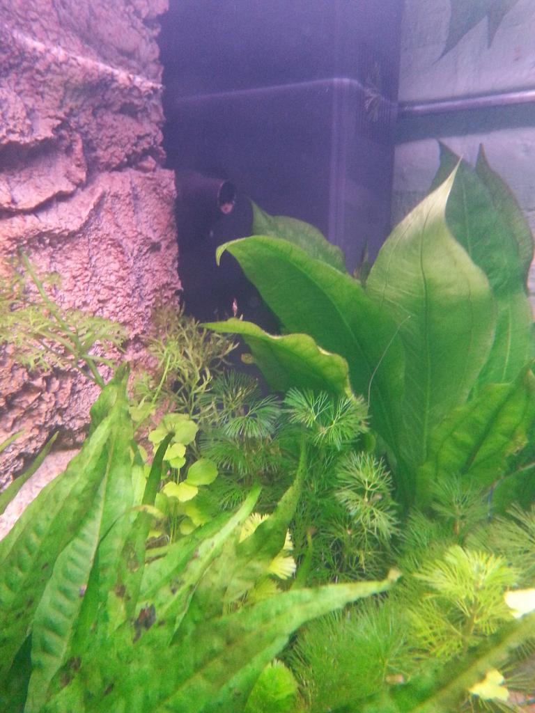 20131019_170810.jpg