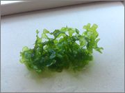 2013_09_04_12_03_43.jpg