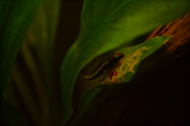 2014-03-05-03_zps1edf7fd4.jpg