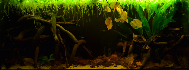 2014-03-16-01_zps3d046ad3.jpg