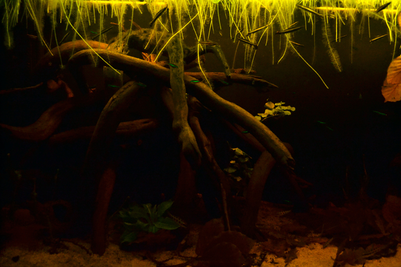 2014-03-25-01_zpsc4c91037.jpg