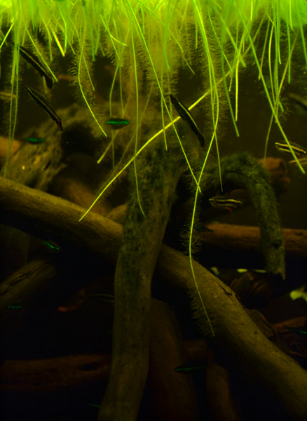 2014-03-25-07_zpsa8e5bed8.jpg