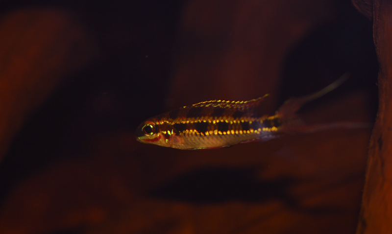 2014-03-28-06_zpsc74c6b51.jpg