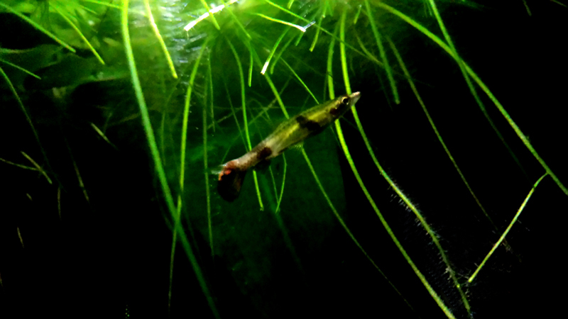 2014-03-28-10_zpsaef3e89c.jpg