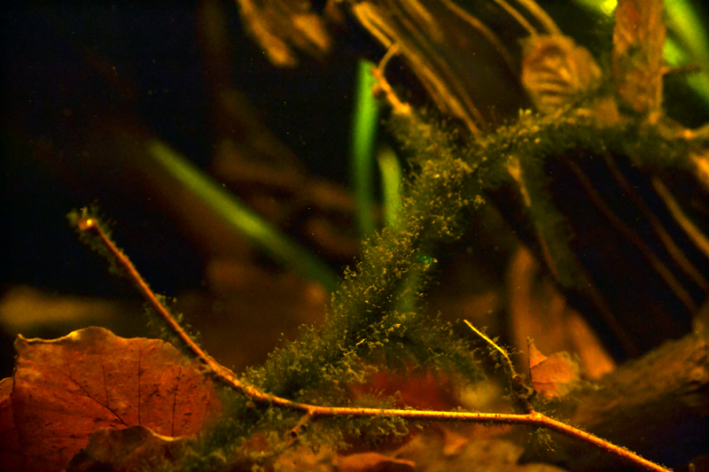 2014-04-14-05_zps689b7eb1.jpg