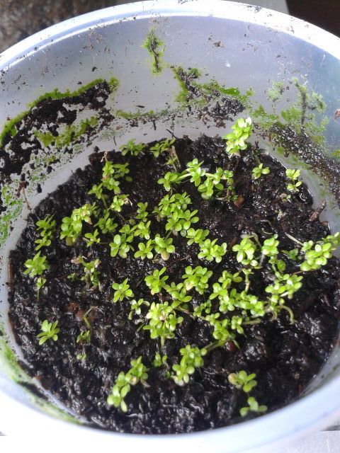 2014-05-19_15.53.35.jpg