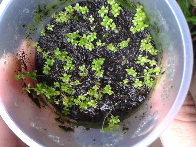 2014-05-19_15.53.59.jpg