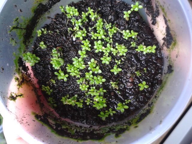 2014-05-19_15.54.14.jpg