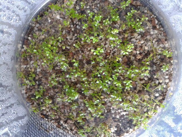 2014-05-19_15.54.39.jpg