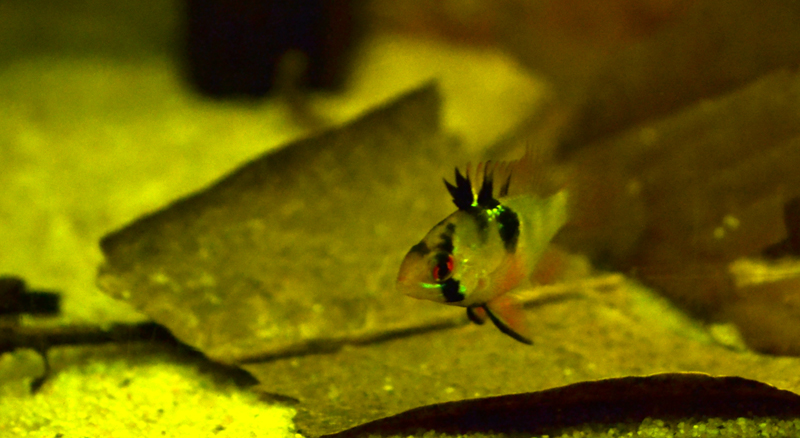 2014-06-20-03_zps6ccd729d.jpg