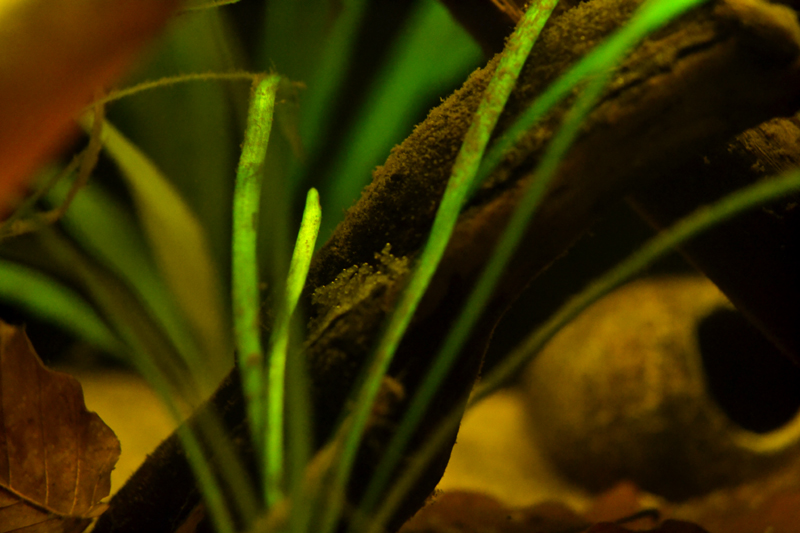 2014-07-05-01_zpsc3760ee0.jpg