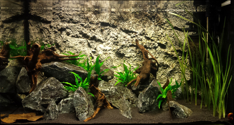 2014-07-07-01_zps9d3c500b.jpg