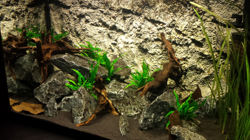2014-07-07-02_zps4eff78c9.jpg