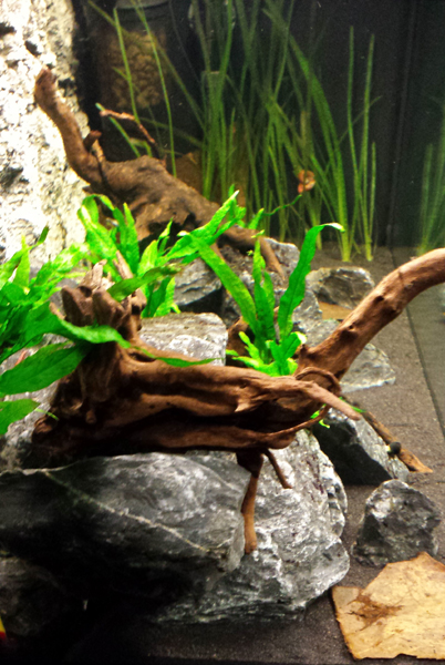 2014-07-07-03_zps3d04dbb3.jpg