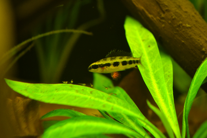 2014-07-18-01_zpsdb9d54c8.jpg