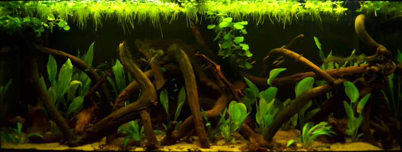 2014-08-10-01_zps34b67bff.jpg