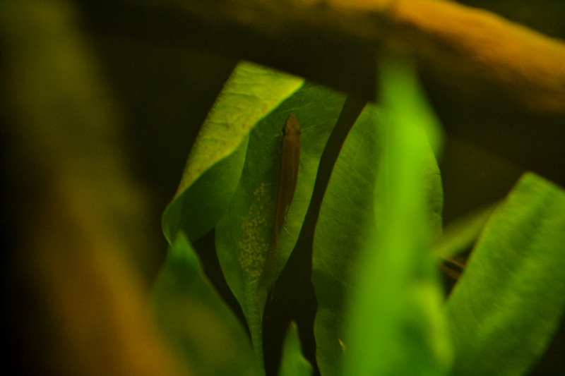 2014-08-10-02_zps52041a1c.jpg