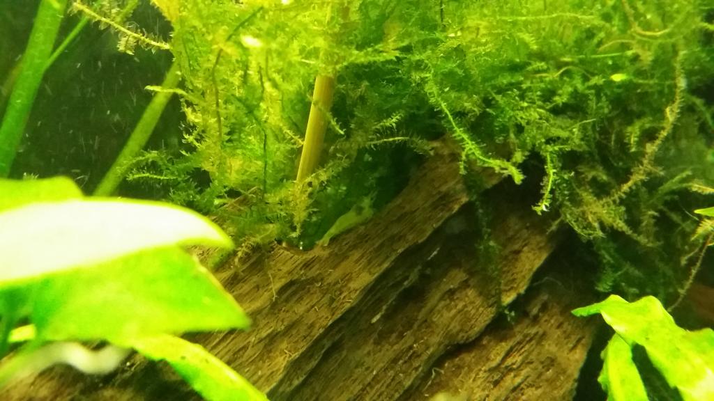 2014-09-09204254_zpsa215762b.jpg