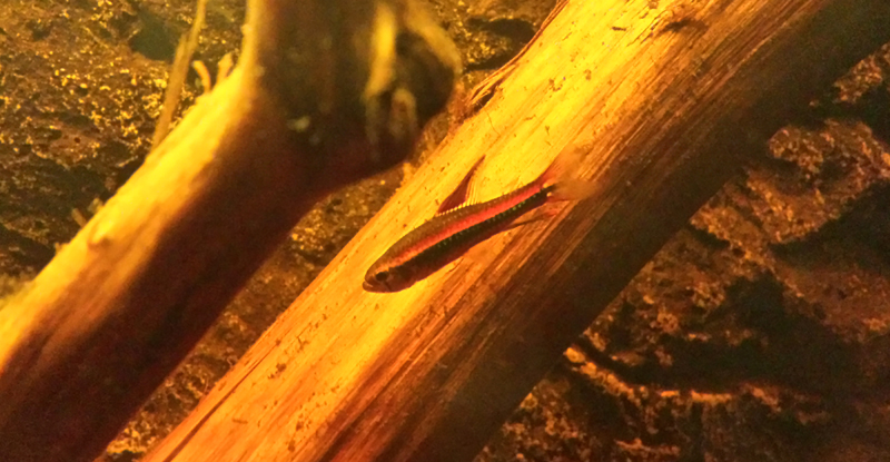2014-09-25-02_zps00e55918.jpg