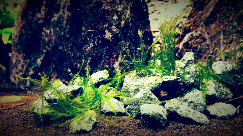 2014-10-13221903_zpsd1563dcf.jpg