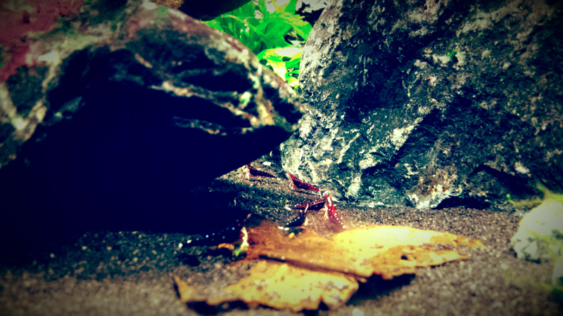 2014-10-1326_zps156673d1.jpg