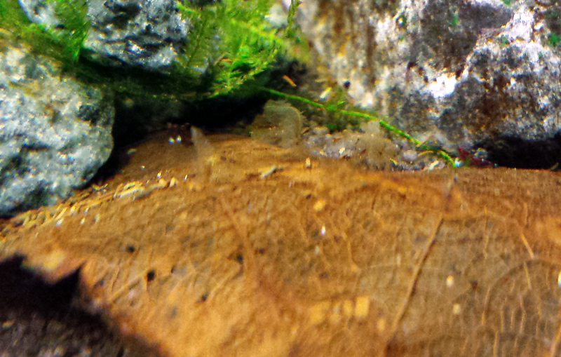2014-10-14-02_zps810a3a1e.jpg
