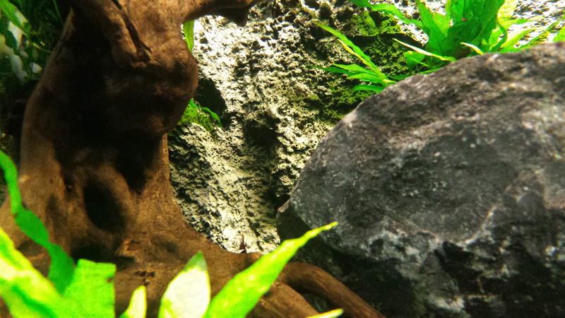 2014-10-21-03_zps41d72595.jpg