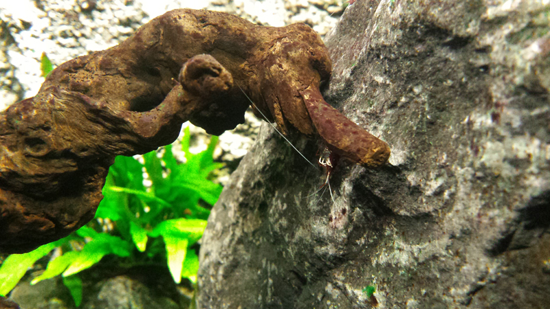 2014-10-21-04_zps6f81c36a.jpg