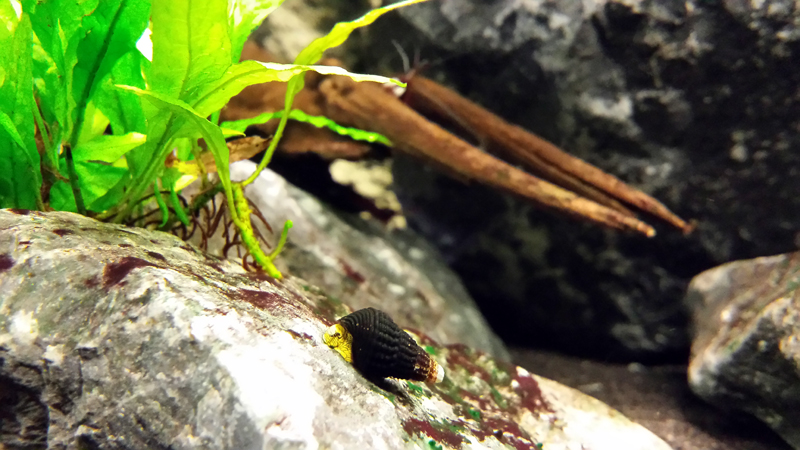 2014-10-22-02_zps05e7e4a3.jpg