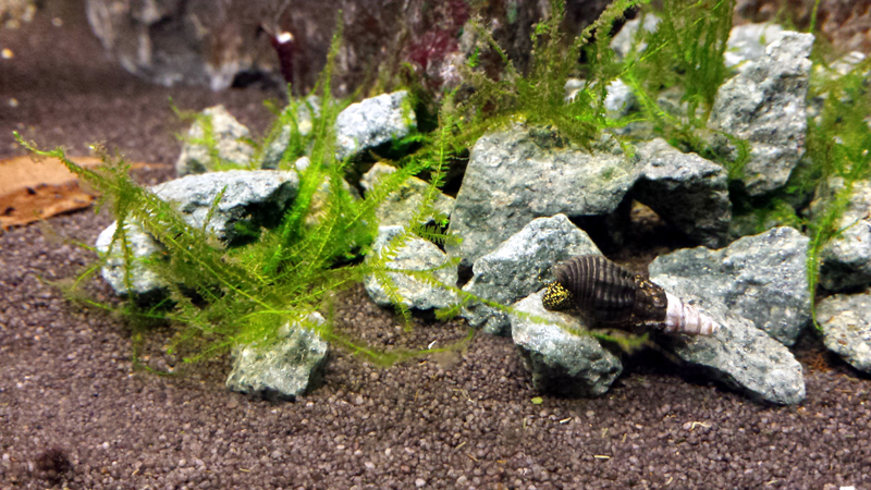 2014-10-22-05_zps471b0e96.jpg