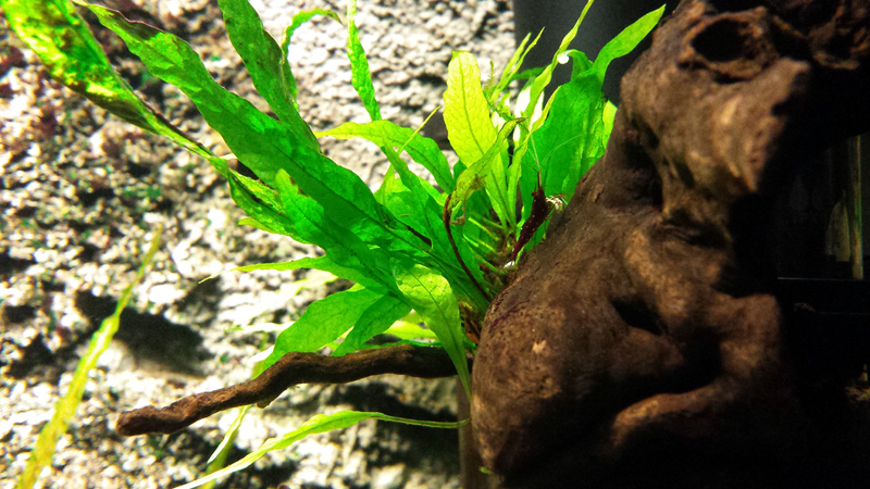 2014-10-22-07_zps83f3dbae.jpg