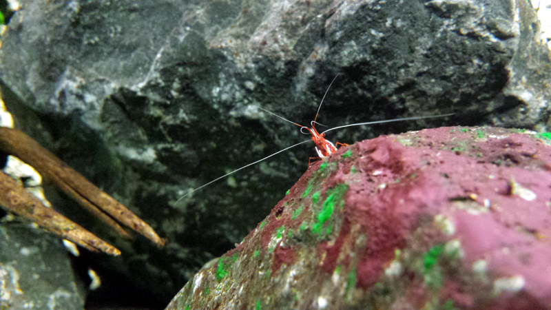 2014-10-22-10_zpse9d6d8d0.jpg