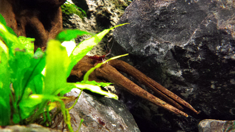 2014-10-22-12_zps4e22a70b.jpg
