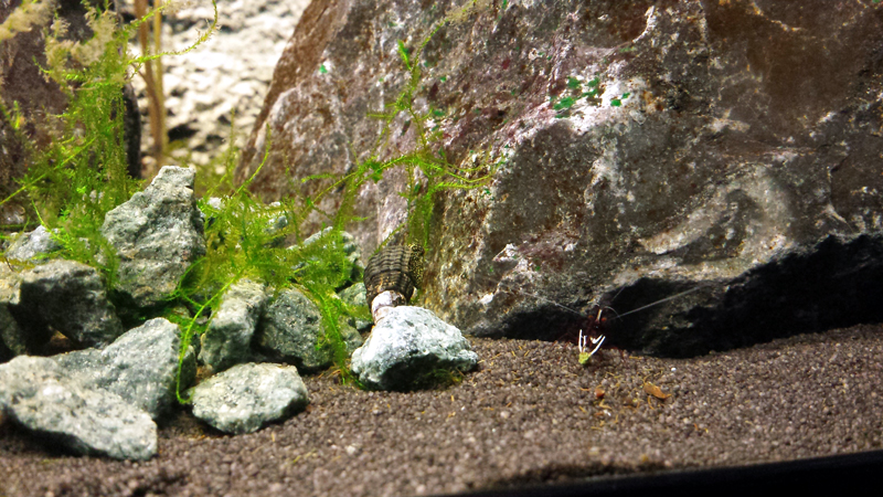 2014-10-22-23_zps176ddd17.jpg