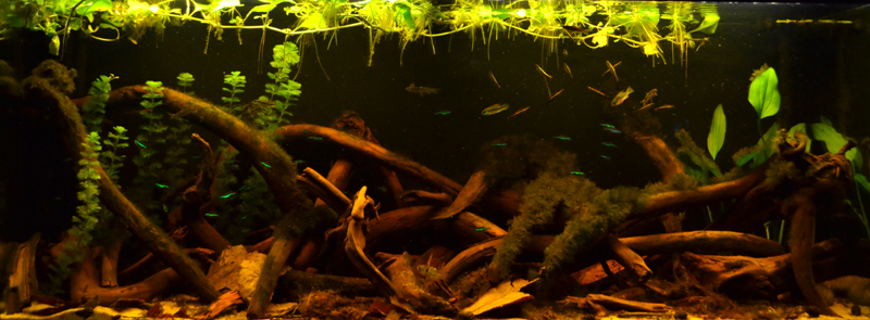 2014-11-23-01_zps60bd20c3.jpg