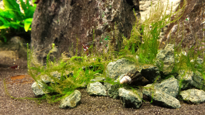 2014-11-29-01_zps8cc1c170.jpg