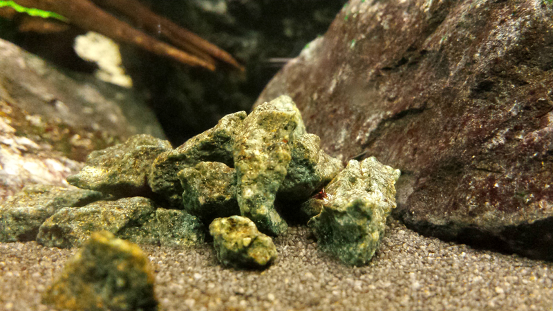 2014-11-29-06_zps550eb8c2.jpg