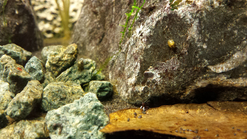 2014-11-29-07_zps18db8dc4.jpg